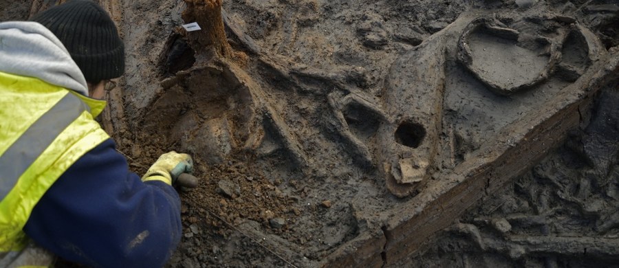 Brytyjscy archeolodzy, prowadzący prace wykopaliskowe w hrabstwie Cambridgeshire, odkryli olbrzymia osadę sprzed 3 tysięcy lat. A w niej liczne przedmioty pochodzące z epoki brązu. 