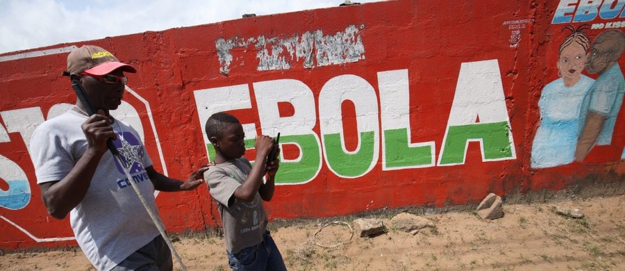 Międzynarodowa Organizacja Zdrowia (WHO) ogłosi dzisiaj koniec epidemii gorączki krwotocznej wywoływanej przez wirus Ebola w Liberii. To jednocześnie zwycięstwo całej Afryki Zachodniej nad najcięższą epidemią tego wirusa od momentu jego wykrycia w 1976 roku.