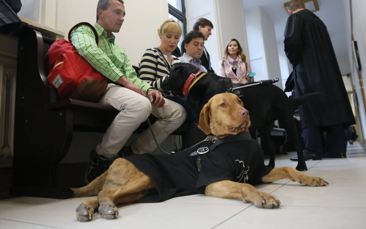 Sąd Okręgowy w Warszawie oddalił pozew cywilny dwójki niewidomych przeciw warszawskiej restauracji. Pozwali oni lokal za to, że nie wpuszczono ich tam z psami przewodnikami. Oddalił też pozew wzajemny restauracji przeciwko powodom.