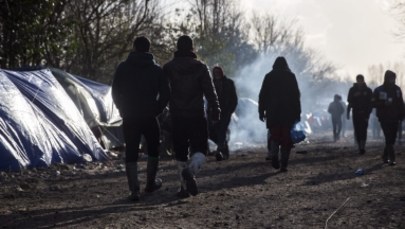 Władze francuskiego regionu apelują o wysłanie wojska do Calais, w obawie przed migrantami