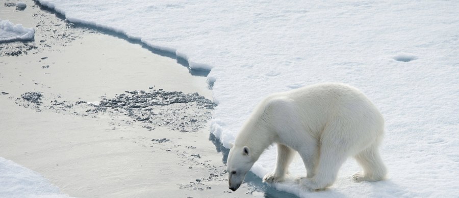 Prawdopodobieństwo, że rekordowo wysokie wskazania temperatury w ciągu minionych 150 lat nie były związane z działalnością człowieka jest ekstremalnie małe, ale większe, niż przedtem szacowano. Takie doniesienia publikuje na łamach czasopisma "Nature Scientific Reports" międzynarodowy zespół naukowców. Błędy w poprzednich szacunkach związane były z faktem, że wskazania temperatury w poszczególnych latach mylnie traktowano, jako niezależne.