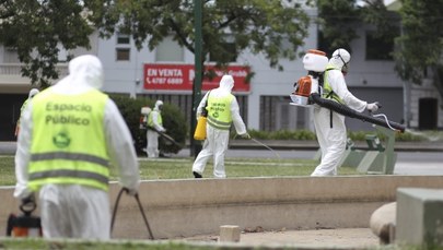 Wirus Zika: KE zaleca ostrzeganie podróżnych. "Nie należy siać paniki - trzeba informować o ryzyku"