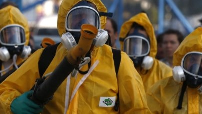 Przypadki zarażenia wirusem Zika we Francji. Eksperci ostrzegają przed epidemią