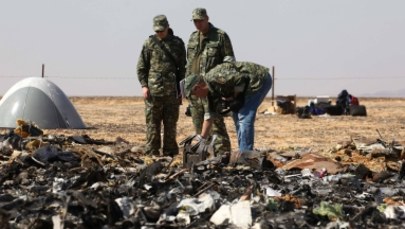 Rosyjskie media: To Szare Wilki zorganizowały zamach na rosyjski samolot lecący z Egiptu