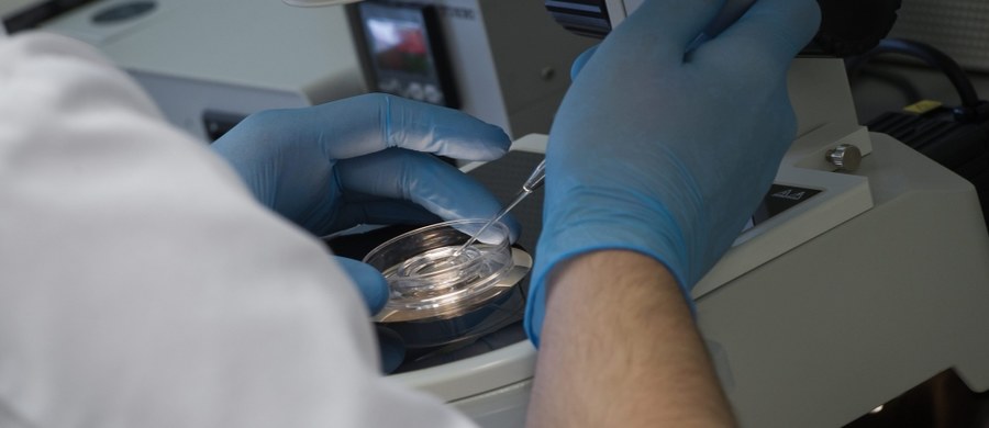 Brytyjski Urząd ds. Ludzkiej Embriologii zezwolił uczonym na modyfikowanie DNA ludzkich zarodków. Taka technika może w przyszłości pozwolić na wyeliminowanie wielu genetycznych chorób.