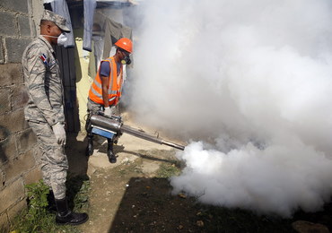 Światowa Organizacja Zdrowia: Wirus Zika to zagrożenie na skalę światową