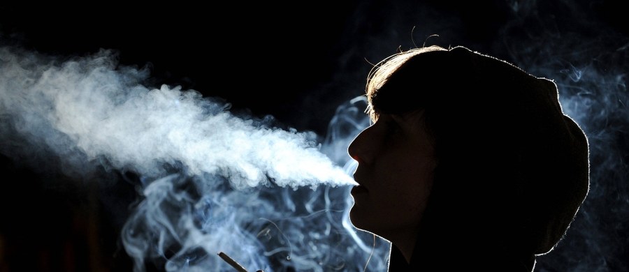 Licealistom we Francji powinno pozwolić się na palenie papierosów na terenie szkoły. Chodzi o to, by gromadząc się na przerwach na ulicach, nie byli narażeni na ataki terrorystyczne - zaapelował główny związek administratorów szkół średnich, SNPDEN.