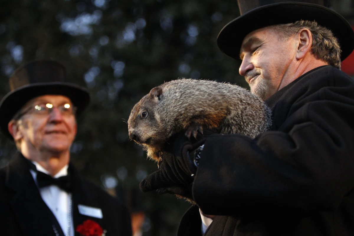 ​Słynny świstak Phil w miejscowości Punxsutawney w Pensylwanii wyszedł z norki i nie zobaczył swojego cienia. Zwiastuje to szybkie nadejście wiosny. To dobra wiadomość dla Amerykanów, po ataku zimy na wschodnim wybrzeżu USA. 