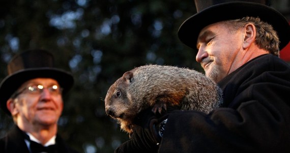 ​Słynny świstak Phil w miejscowości Punxsutawney w Pensylwanii wyszedł z norki i nie zobaczył swojego cienia. Zwiastuje to szybkie nadejście wiosny. To dobra wiadomość dla Amerykanów, po ataku zimy na wschodnim wybrzeżu USA. 