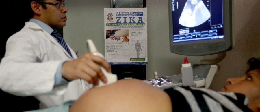 W Brazylii liczba powiązanych z wirusem Zika podejrzewanych i potwierdzonych przypadków małogłowia u noworodków wyniosła pod koniec stycznia ponad 4000, czyli o około 350 przypadków więcej niż tydzień wcześniej - poinformowało ministerstwo zdrowia tego kraju. Z kolei w Teksasie w USA potwierdzono pierwszy przypadek zarażenia się tym wirusem drogą płciową.