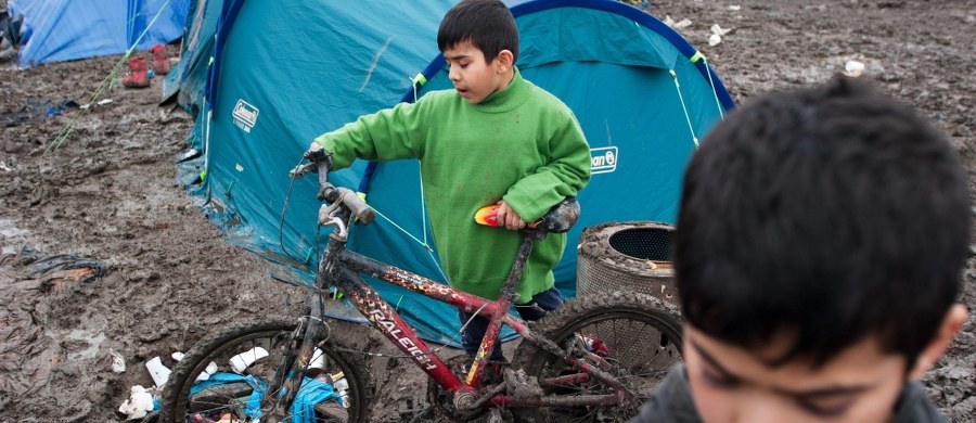 Kraje Unii Europejskiej przeznaczą 3 mld euro na pomoc syryjskim uchodźcom, przebywającym w Turcji. Komisja Europejska wyda na ten cel miliard euro, resztę dopłacą państwa członkowskie. Wysokość kwoty uzależniona jest od wielkości PKB. Polska składka wyniesie 57 mln euro.