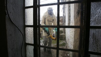 Pierwsza ciężarna kobieta z wirusem Zika w Europie. To mieszkanka Barcelony