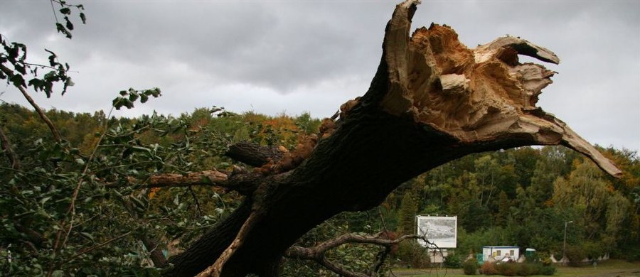 Silne podmuchy wiatru dają się we znaki mieszkańcom Małopolski. Najmocniej wieje w rejonie Gorlic i Nowego Sącza. Bez prądu jest ok. 600 odbiorców w kilku miejscowościach. Instytut Meteorologii i Gospodarki Wodnej wydał ostrzeżenia przed silnym wiatrem dla kilku województw w południowej Polsce, m.in. dla  podkarpackiego, śląskiego i dolnośląskiego.