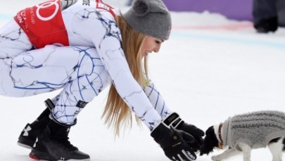 Spanielka Lucy wspiera amerykańską narciarkę Lindsey Vonn