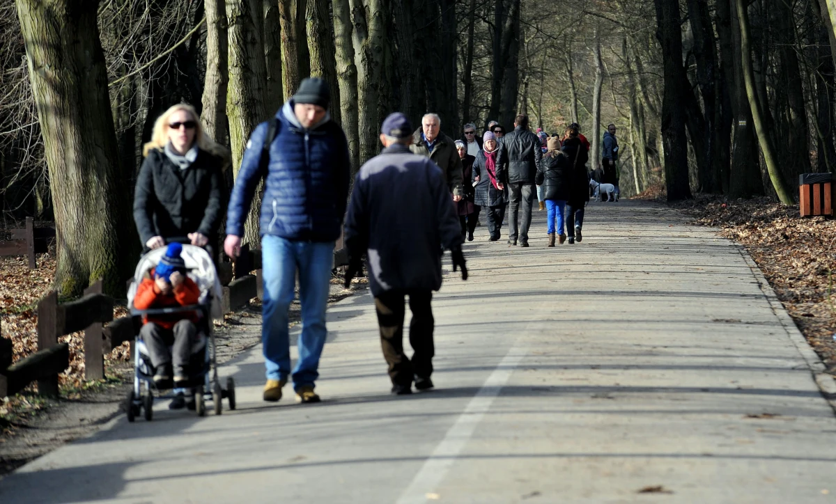 Przelotnych opadów deszczu możemy spodziewać się w poniedziałek w całej Polsce. W dalszym ciągu będzie jednak ciepło i wietrznie. Temperatura będzie oscylować od 7 stopni w Suwałkach do 13 we Wrocławiu. Ciśnienie będzie spadać.