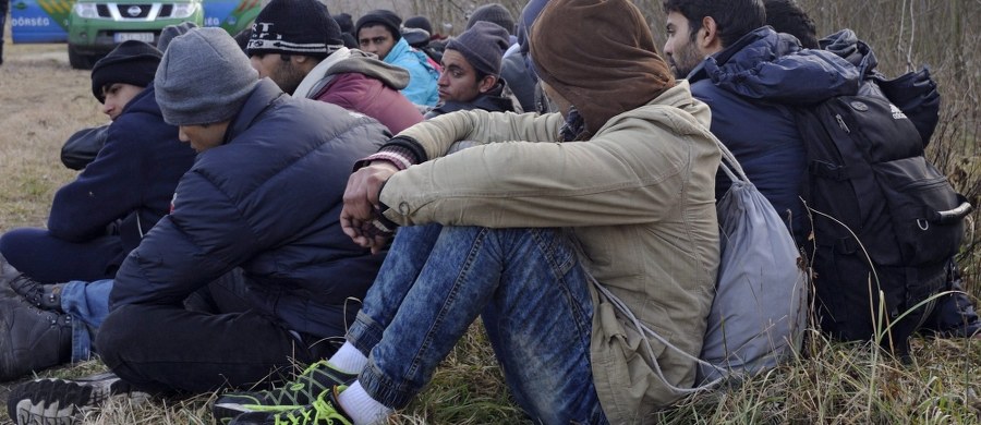 Państwo Islamskie wysłało w zeszłym roku do Europy znaczną grupę swoich bojowników. Ich zadaniem jest przeprowadzenie ataków terrorystycznych w kilku miastach europejskich na skalę tego z 13 listopada w Paryżu. Według CNN, chodzi o grupę 60 terrorystów, z czego 40 nadaj jest w ukryciu.