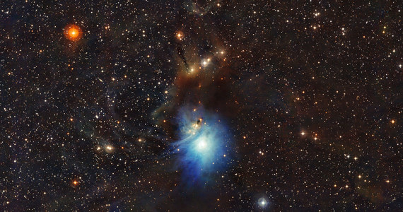 Obserwatorium La Silla w Chile, należące do Europejskiego Obserwatorium Południowego (ESO), opublikowało zdjęcie, na którym nowo utworzona gwiazda HD 97300 rozświetla otaczające ją kosmiczne obłoki. Obraz z 2,2-metrowego teleskopu MPG/ESO można porównać do zdjęcia świateł reflektorów samochodowych rozpraszających się we mgle. To, co widzimy, to tzw. mgławica refleksyjna IC 2361, najjaśniejsza mgławica w tzw. Kompleksie Kameleona.