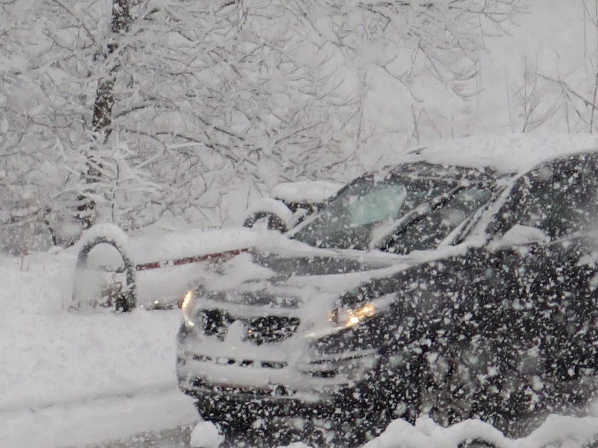 Prognozy pogody dla Polski nadal są niepokojące. Synoptycy ostrzegają przede wszystkim przed bardzo silnym wiatrem, który będzie osiągać w porywach nawet do 100 kilometrów na godzinę. Najbardziej niespokojnie ma być na Podhalu. Synoptycy zapowiadają intensywne opady śniegu w Zakopanem. Będzie tam sypać nieprzerwanie aż do rana. W stolicy polskich Tatr może spaść nawet 20 cm śniegu.