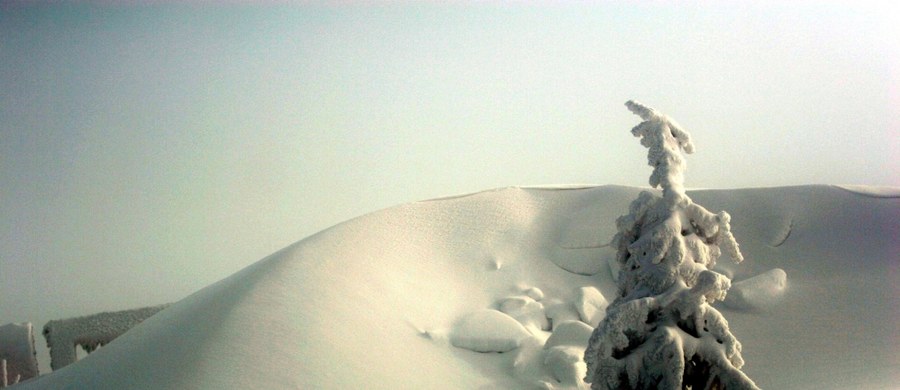 Do drugiego stopnia podnieśli dziś zagrożenie lawinowe na północnych stokach Babiej Góry w Beskidach ratownicy grupy beskidzkiej GOPR. W ciągu minionej doby spadło tam ponad 30 cm śniegu. Opadom towarzyszył silny wiatr.