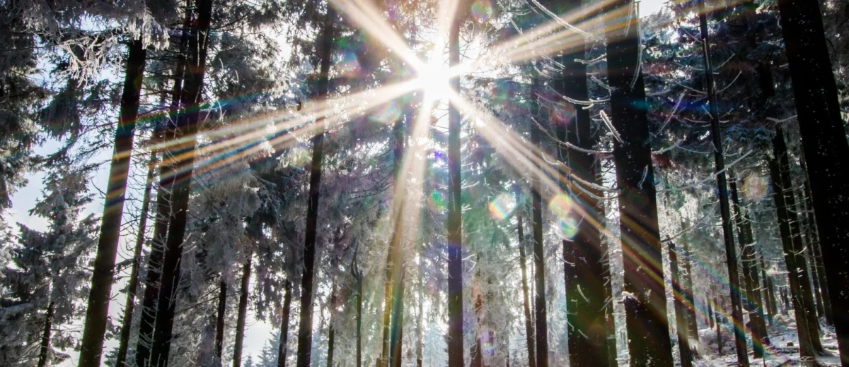 Prognozy na najbliższy weekend nie są optymistyczne. Przydadzą się parasole, bo w wielu regionach popada deszcz i deszcz połączony ze śniegiem. Słońce będzie pojawiać się jedynie sporadycznie, dominować będzie zachmurzenie duże i całkowite. Dobra wiadomość jest taka, że utrzymają się wysokie wartości na termometrach. Miejscami będzie nawet do 9-10 st. Celsjusza. 