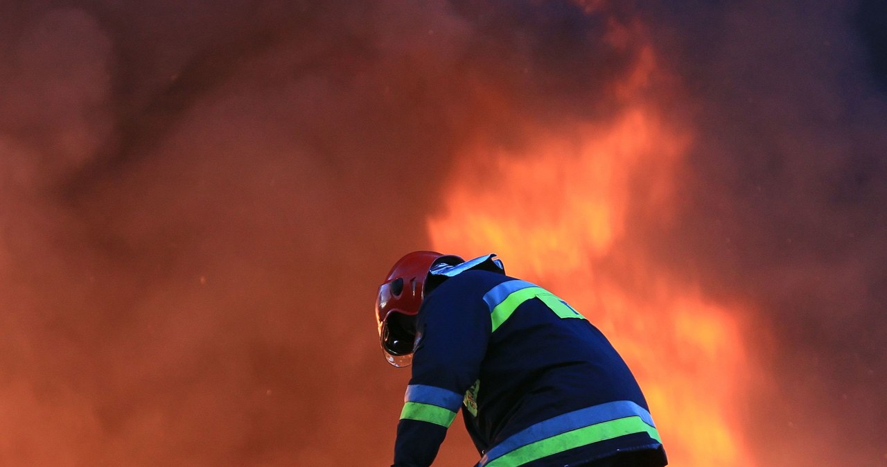 Pożary lasów nie zawsze kończą się wraz z nadejściem znacznego ochłodzenia. Dobrze o tym wiedzą m.in. mieszkańcy Kanady, którzy w tym roku odnotowali nie tylko rekordową liczbę pożarów lasów, ale teraz mierzą się także z wyjątkowo dużą liczbą tzw. pożarów zombie. Aktualna sytuacja w Kanadzie jest bardzo alarmująca - naukowcy mówią o dużym problemie. Także w Polsce w ostatnich latach zwiększyło się zagrożenie pożarowe. W tym przypadku warto korzystać z mapy online, aby sprawdzić, gdzie może być niebezpiecznie.