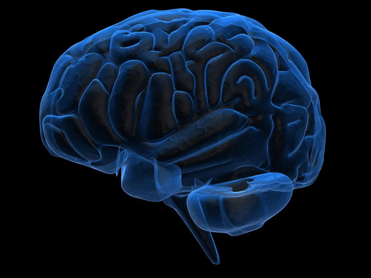 Są szanse na skuteczniejsze zapobieganie skutkom udarów mózgu. Przekonują o tym na łamach czasopisma "ACS Central Science" chemicy z University of Nebraska-Lincoln i lekarze z National University of Singapore. Udało im się znaleźć cząsteczkę osłabiającą aktywność enzymu, którego działanie zwiększa spustoszenia w niedotlenionych rejonach mózgu. Podanie jej doświadczalnym szczurom w ciągu godziny po udarze mózgu, ograniczało niekorzystne skutki nawet o 66 procent. 