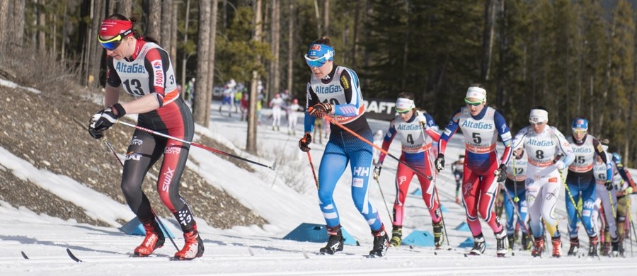 Biegiem na dochodzenie na 10 km techniką klasyczną w kanadyjskim Canmore Justyna Kowalczyk i jej koleżanki po fachu zakończą dzisiaj rywalizację w Pucharze Świata 2015/16. Na fetowanie drugiej w karierze Kryształowej Kuli szykuje się już zapewne Norweżka Therese Johaug, którą tylko kataklizm mógłby pozbawić trofeum. Z kolei w niemieckim Titisee-Neustadt rywalizować będą skoczkowie.