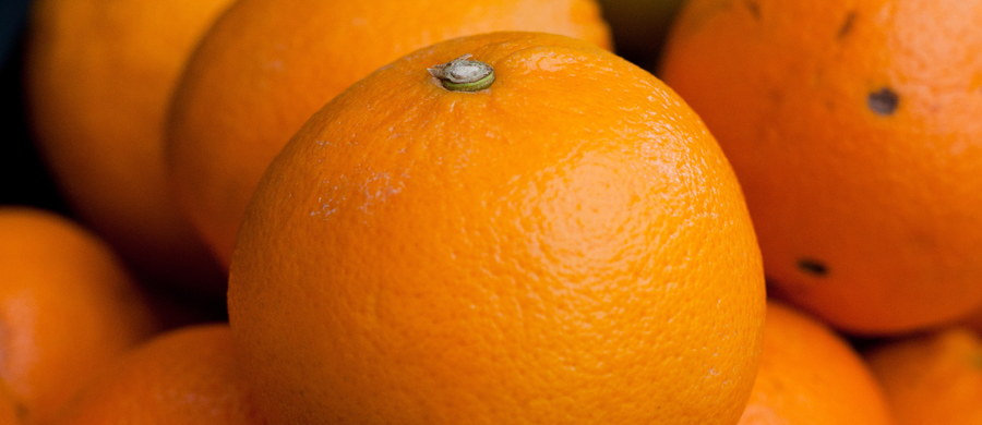W ciągu ostatnich 15 lat ścięto jedną trzecią drzewek pomarańczowych. Rośnie też coraz mniej cytryn i mandarynek. Uprawy znikają w zastraszającym tempie – alarmują włoscy rolnicy. 