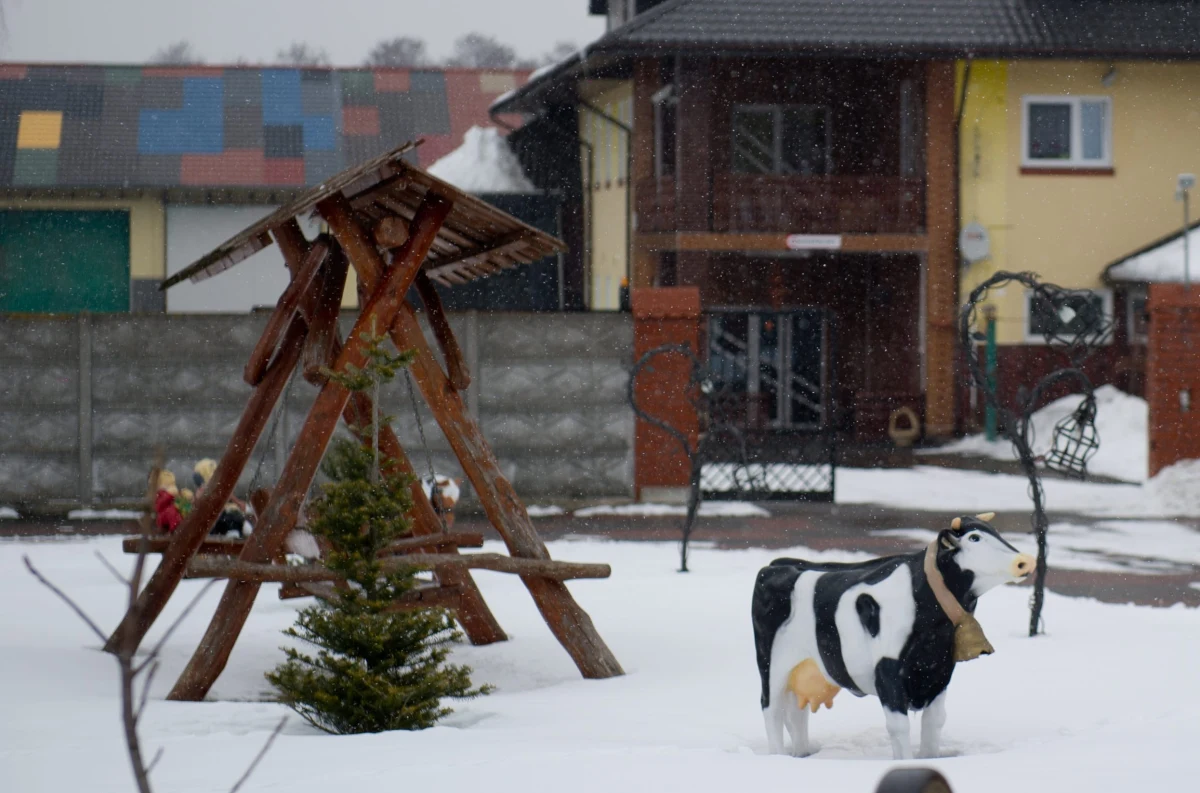 Powiatowy lekarz weterynarii z Rawy Mazowieckiej w Łódzkiem usłyszał zarzuty niedopełnienia obowiązków - dowiedziała się dziennikarka RMF FM Agnieszka Wyderka. Chodzi o śledztwo dotyczącego uboju chorego bydła w zakładzie w Rosławowicach koło Białej Rawskiej. 