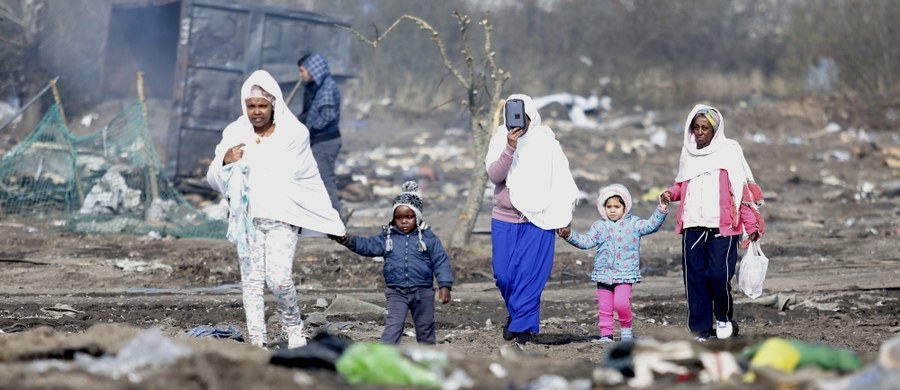 Po 17 dniach pracy zakończono likwidację południowej części miasteczka migrantów pod Calais, zwanego "dżunglą" - poinformowała agencja AFP. Ewakuację przeprowadzono pod nadzorem oddziałów prewencji policji. Według AFP, część migrantów z likwidowanej południowej części obozowiska przeniosła się na północ "dżungli", która pozostaje największym slumsem Francji.