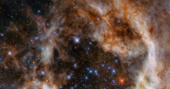 Obserwacje, prowadzone z pomocą teleskopu Hubble'a w ultrafiolecie pozwoliły astronomom zidentyfikować niezwykłe skupisko olbrzymich gwiazd. Aż 9 gwiazd, w obrębie gromady R136 ma masy przewyższające 100 mas Słońca. To największa, znana dotąd, tego typu formacja. Wyniki tych obserwacji, opublikowane w "Monthly Notices of the Royal Astronomical Society" stawiają jednak nowe pytania, dotyczące procesu powstawania takich olbrzymów.