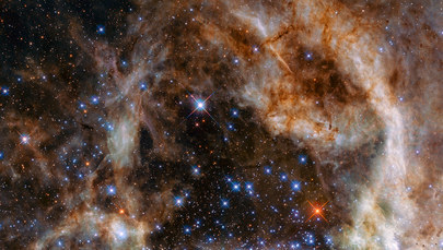 Teleskop Hubble'a zbadał niezwykłe skupisko gwiazd - olbrzymów