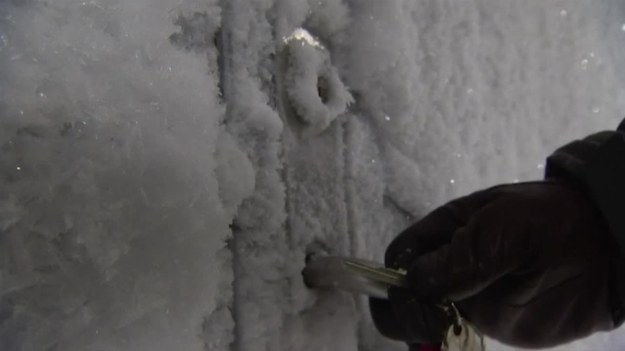 W najdalszym zakątku Norwegii, w sąsiedztwie mroźnego miasta Longyearbyen znajduje się nietypowy schron. Nie służy on ochronie ludności cywilnej, lecz roślinności. W bunkrze ukrytym pod lodem i śniegiem kryje się Bank Nasion, w którym przechowywane są tzw. kopie zapasowe nasion ok. 865 tys. gatunków roślin z całego świata. W ten sposób są one chronione przed globalnymi katastrofami, zmianami klimatycznymi oraz zagrożeniami, wynikającymi z procesów modyfikacji genetycznej.


- Ten schron to kopia zapasowa kopii zapasowej globalnego systemu ochrony nasion - tłumaczy Marie Haga, dyrektor wykonawczy Crop Trust, międzynarodowej organizacji, która zajmuje się ochroną plonów i żywności.


Bank Nasion Bunkier zbudowano w tunelu o długości 130 m wydrążonego w górze Platåfjellet. Spod grubej warstwy śniegu i lodu jest niemalże niewidoczny. Daje on schronienie 865 tys. nasionom gatunków roślin z każdej części globu – to oznacza, że znajduje się w nim kilkaset milionów pojedynczych ziarenek.
