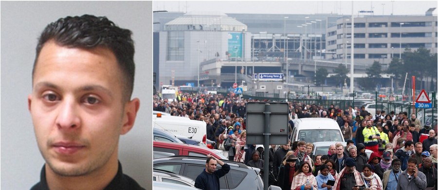 Niemiecki ekspert ds. terroryzmu Rolf Tophoven uważa, że zamachy terrorystyczne w Brukseli mogły być reakcją na zatrzymanie cztery dni wcześniej Salaha Abdeslama, uważanego za koordynatora krwawych paryskich zamachów z 13 listopada ub.r. Jego zdaniem środowisko terrorystów związane z Abdeslamem chciało pokazać, że jest "nadal zdolne do działania i nie uległo operacyjnemu osłabieniu".