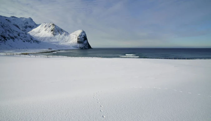 "Gazeta Wyborcza”: Rekordowo mało lodu na Oceanie Arktycznym