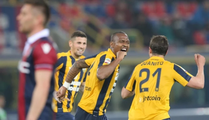 Bologna FC - Verona FC 0-1. Cały mecz Wszołka