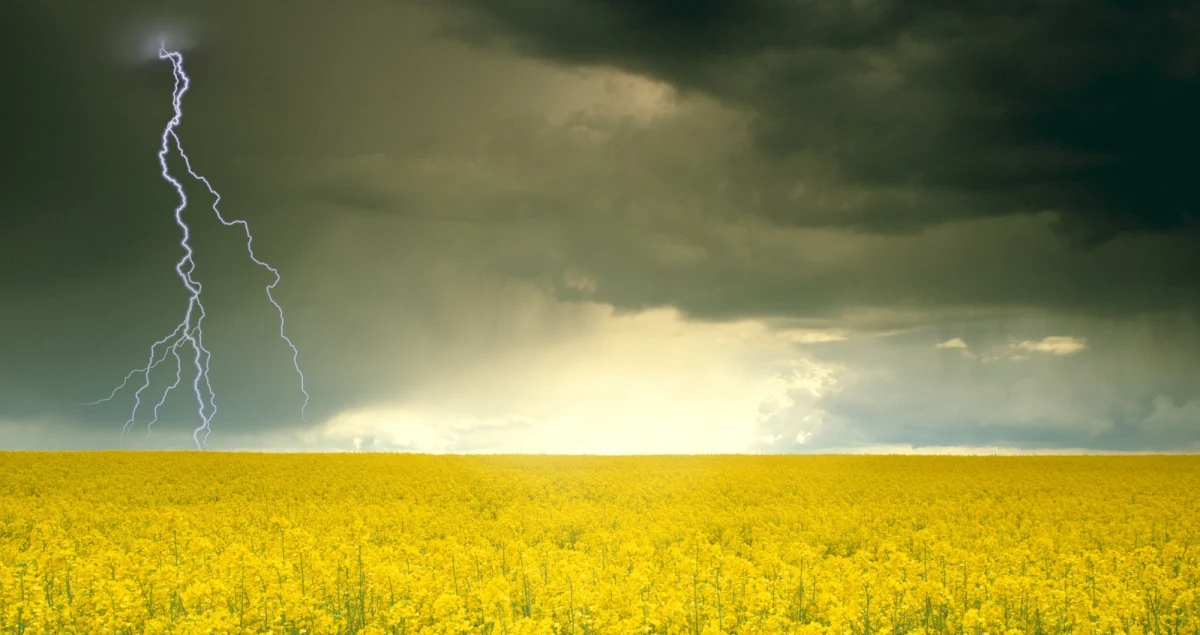 Synoptycy ostrzegają - w najbliższych dniach pojawiają się burze, lokalnie gwałtowne. Będą połączone z silnymi opadami deszczu oraz porywistym wiatrem osiągającym nawet do 60 km/h. Najbardziej niespokojnie ma być na południu kraju. Dobra wiadomość jest taka, że na termometrach utrzymają się wysokie wartości. Ma być nawet do 21 stopni Celsjusza. 