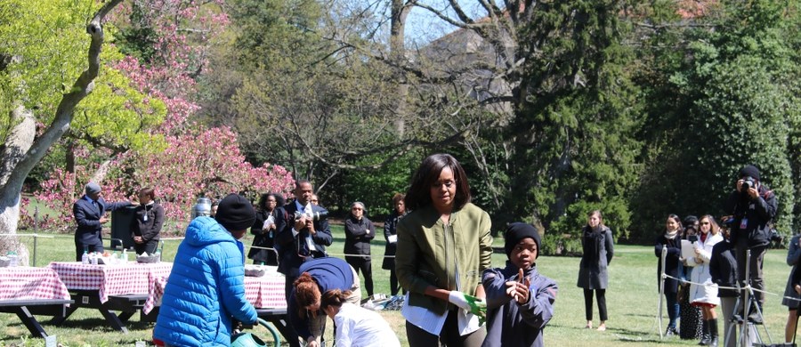 Pierwsza Dama USA Michelle Obama po raz ostatni sadzi warzywa w swoim ogródku przy Białym Domu. Ostatni raz, bo podobnie jak małżonek, Michelle Obama opuści w styczniu rezydencję. W USA pojawia się pytanie – co dalej z ogródkiem warzywnym stworzonym przez żonę Baracka Obamy?  