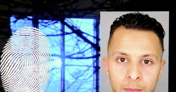 Domniemany koordynator paryskich zamachów Salah Abdeslam nie zostanie wydany Francji "przed upływem wielu tygodni". Ogłosił to adwokat islamskiego terrorysty, który znajduje się w areszcie śledczym w Belgii. Mecenas Sven Mary wyjaśnił, że Abdeslama chcą najpierw przesłuchać belgijskie służby.