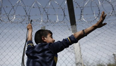 Austria chce postawić płoty na granicy z Węgrami