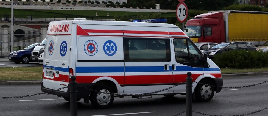 Policja z Tczewa wyjaśnia okoliczności dotkliwego pogryzienia 9-latki przez trzy psy. Za zgłoszenia, które otrzymali funkcjonariusze wynika, że dziecko w czwartek po południu jeździło rowerem po osiedlowej drodze w pobliżu swojego domu w Rokitkach (woj.pomorskie). To wtedy miały ją zaatakować zwierzęta. 