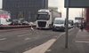 Łabędź wstrzymał ruch na drodze