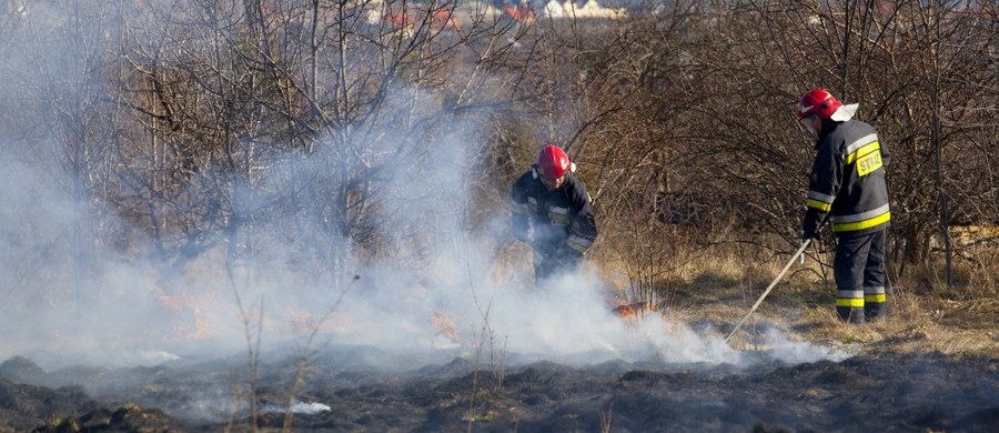 3 osoby zginęły w blisko 20 tys. pożarów traw, które wybuchły w kraju od początku roku – alarmują strażacy. Służby przypominają, że grozi za to kara więzienia lub wysoka grzywna, a w niektórych przypadkach wypalanie traw może skutkować odebraniem rolnikom dopłat unijnych. 