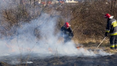 Wypalanie traw: Od początku roku 20 tys. pożarów, w których zginęły 3 osoby