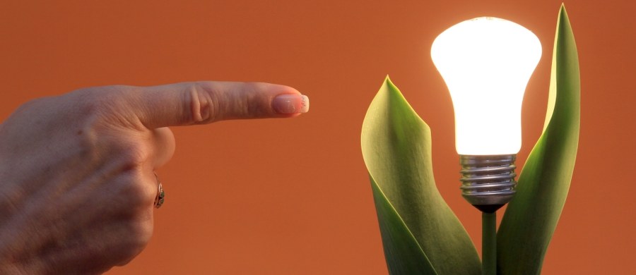 "Znowu może zabraknąć nam energii" – ostrzega na pierwszej stronie wtorkowego wydania „Gazeta Wyborcza”. Powołując się na ustalenia ekspertów podaje, że newralgicznym momentem tego roku może być wrzesień. „Na ten miesiąc przypadnie szczyt remontów w elektrowniach, co w połączeniu z upałami i brakiem wiatru może doprowadzić do zawału w energetyce i przerw w dostawie prądu” – tłumaczy „GW”.
