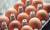 Rocznie Polacy spożywają ponad 10 miliardów jaj. Które są najzdrowsze?