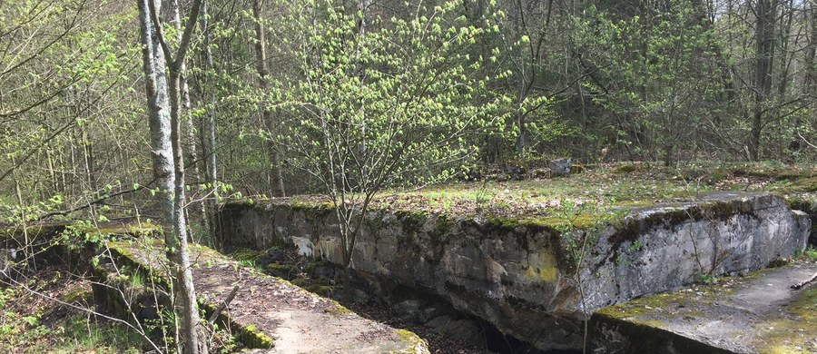 Ukryte pomieszczenie odnalezione w kompleksie bunkrów w Mamerkach na Mazurach może być większe niż wcześniej zakładano. Według opiekuna obiektu może się tam znajdować słynna Bursztynowa Komnata. 