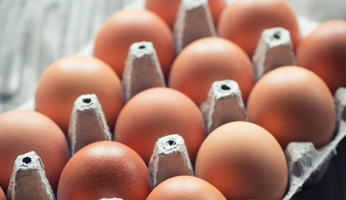 Jaja wskazane przez GIS już wycofane ze sklepów DINO