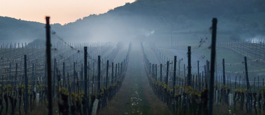 Kolejne dni długiego majowego weekendu przyniosą dość dynamiczną aurę. Miejscami zagrzmi, mocniej powieje i popada. Najbardziej niespokojnie ma być na południu oraz na wschodzie kraju. Dobra wiadomość jest taka, że wzrosną wartości na termometrach. Ma być nawet do 19 stopni Celsjusza.