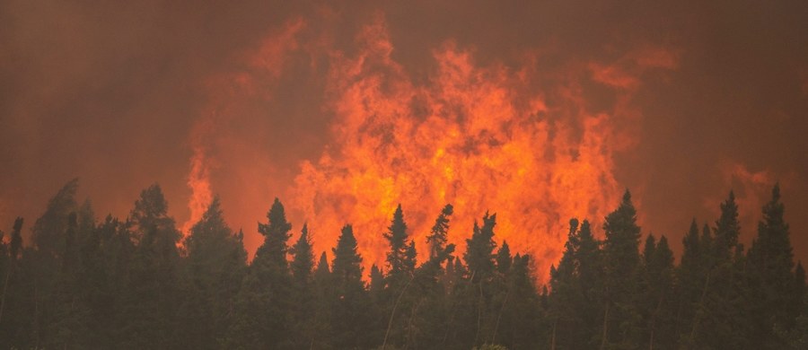 Olbrzymi, niekontrolowany pożar lasów w północnej części kanadyjskiej prowincji Alberta zmusił do ewakuacji prawie wszystkich z 80 tysięcy mieszkańców miasta Fort McMurray - poinformowały lokalne władze. "To jest największa ewakuacja przed pożarem w historii prowincji" - powiedziała premier Alberty Rachel Notley.